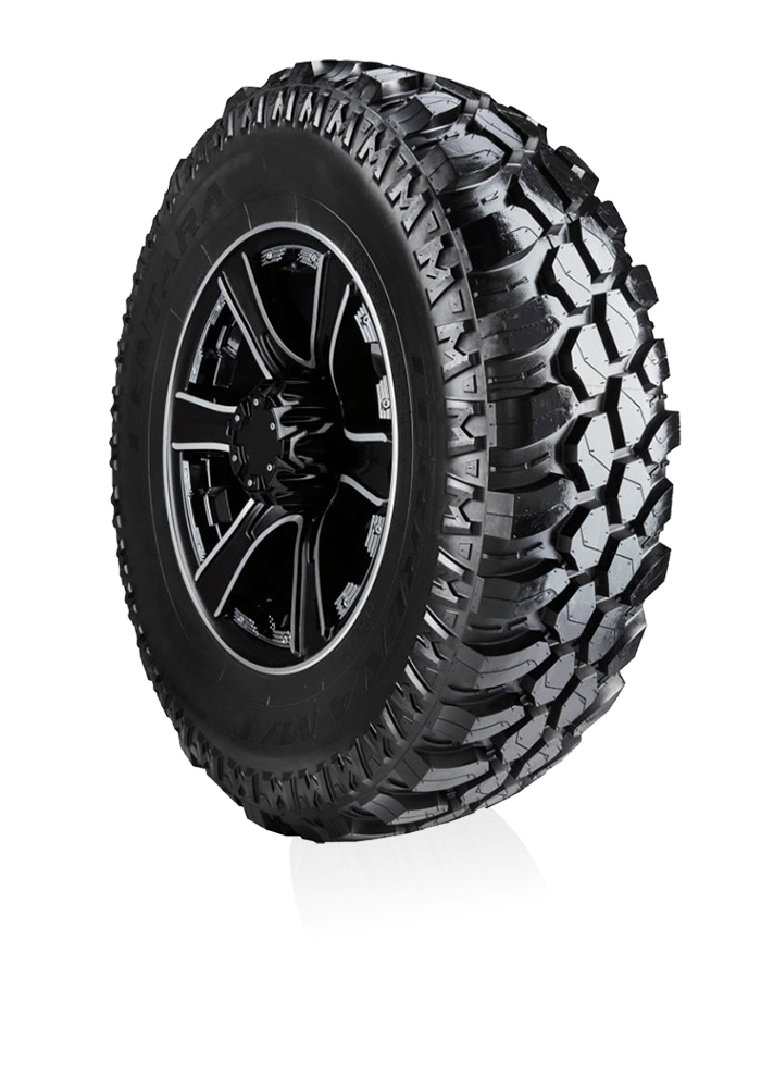 TERRENA M/T